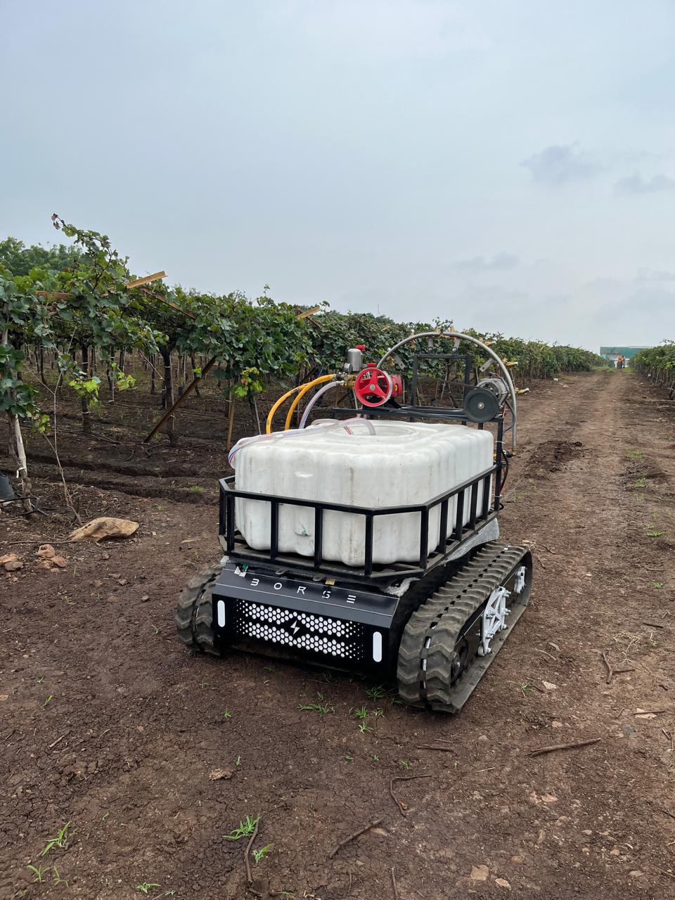 Actual tracked ASSIST sprayer platform positioned between vineyard rows